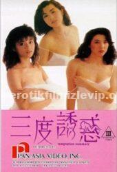 Baştan Çıkarma 1990 Çin Erotik Filmi izle
